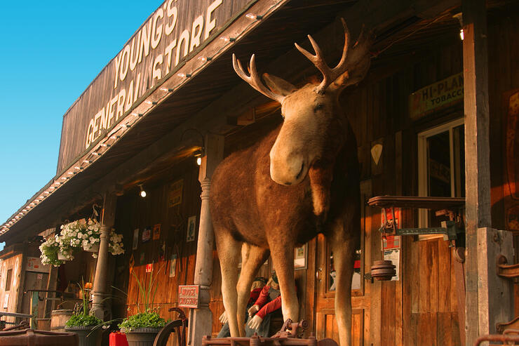 Full size moose replica on front porch of old west style store