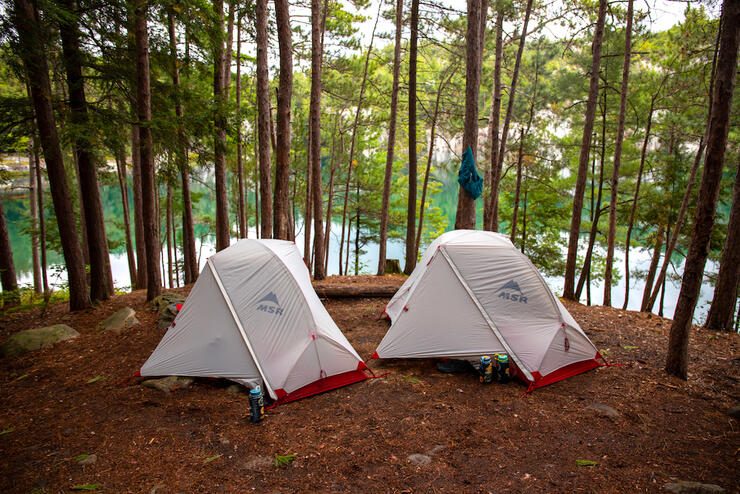 Two small tents on a flat campsite beside trees and lake. 