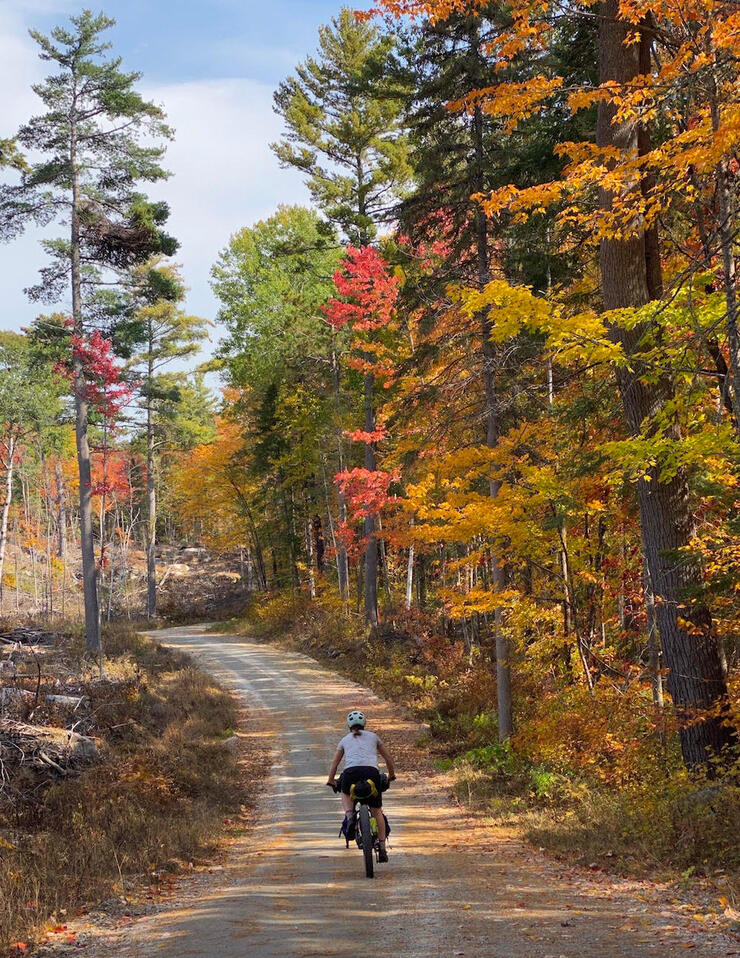 A cyclist riding on a gravel road in forest in autumn.