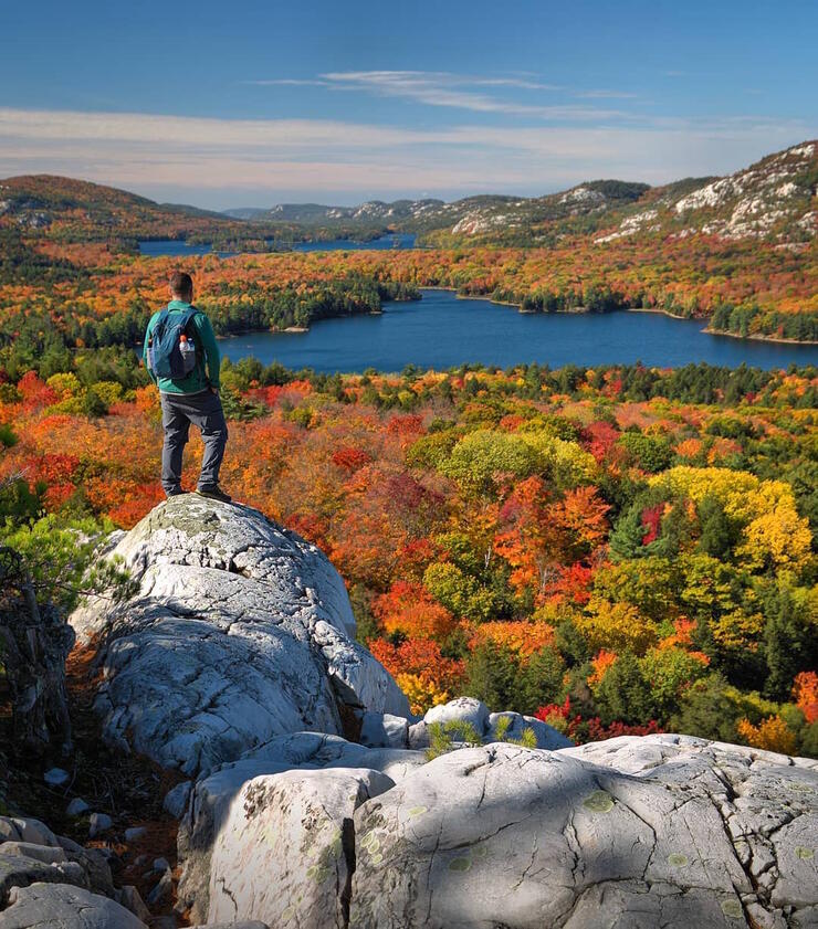 Man standing on a rock lookout viewing colourful trees and lake in the distance.