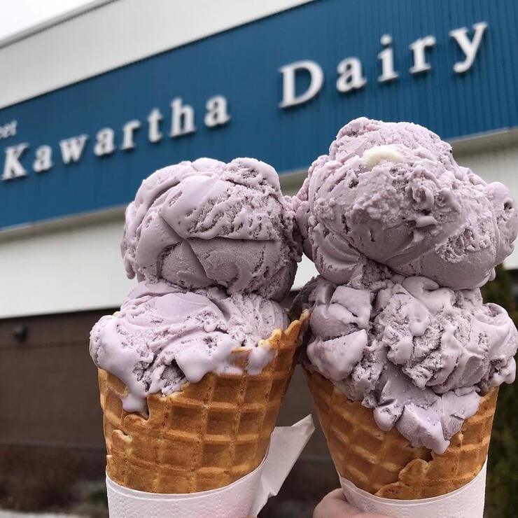 Two double scooped ice cream cones. 