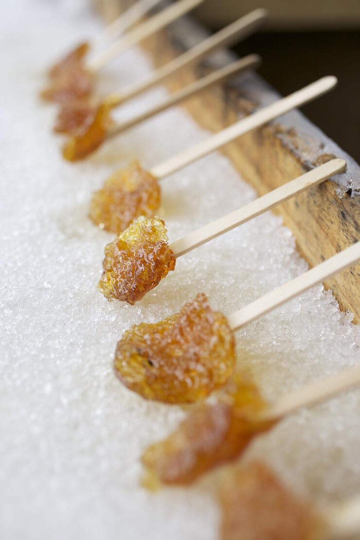 Maple toffee on sticks in snow trough. 