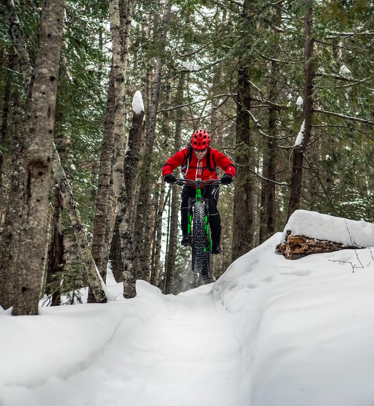 Man riding a fat bike on snow trail in forest