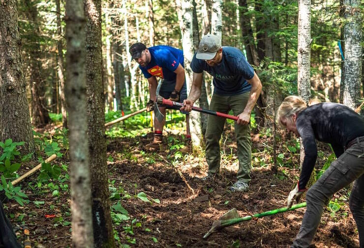 Three people working with rakes on a forest trail. 