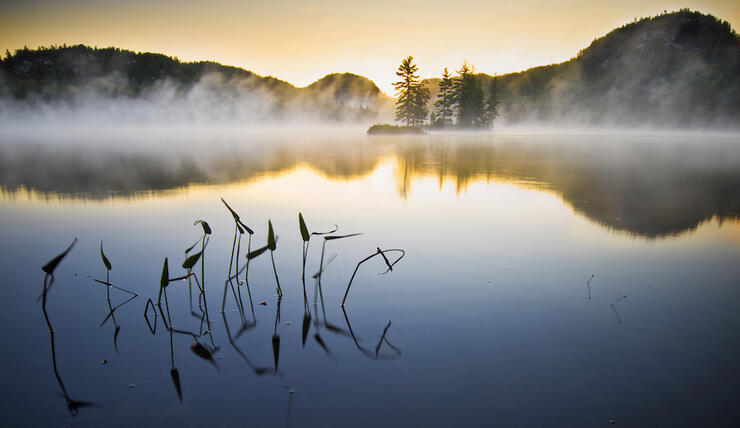 Looking across a calm misty lake at dawn.
