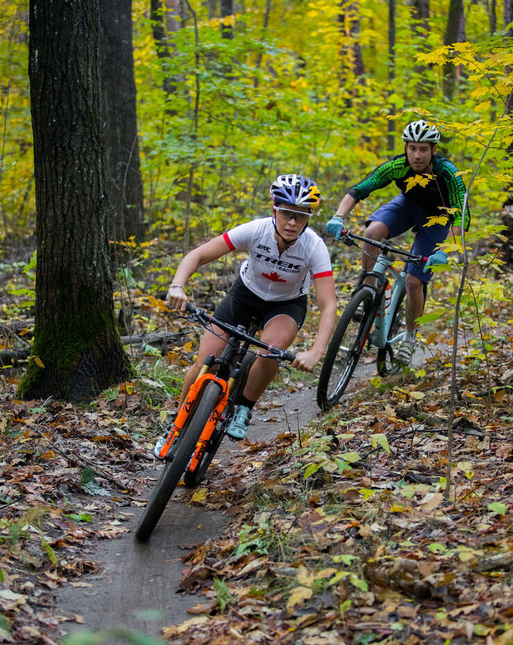 Two mountain bikers on single track trail in forest 