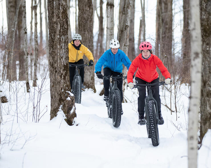 Three people on fat bikes riding through the forest 