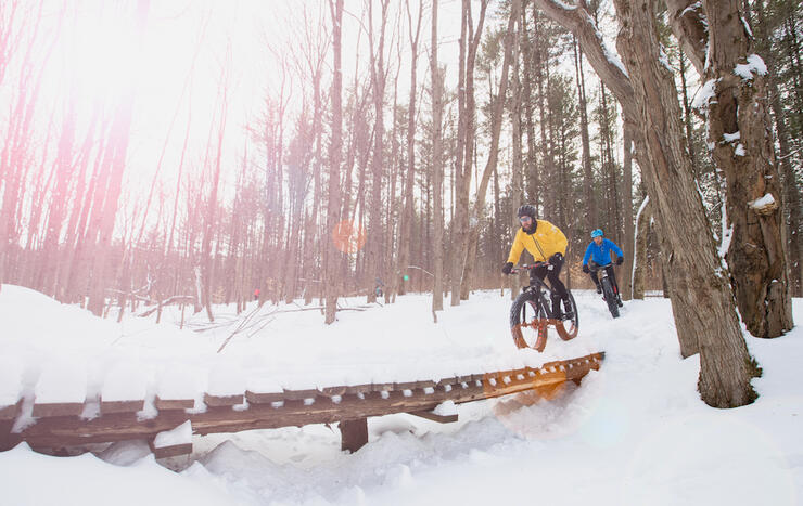 Fat bikers about to ride on a wooden boardwalk. 