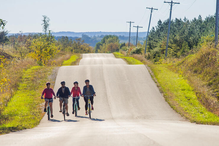Four cyclists riding on a road with wavy hills.