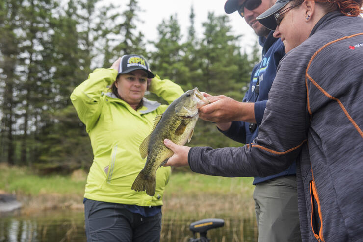 Largemouth Bass Fishing in Ontario: A Beginner's Guide to Catching