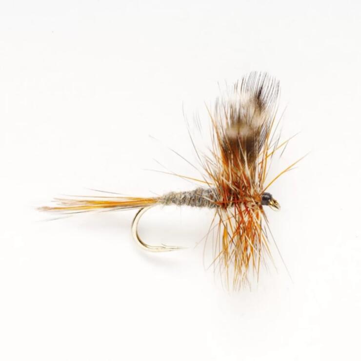 Trout fly