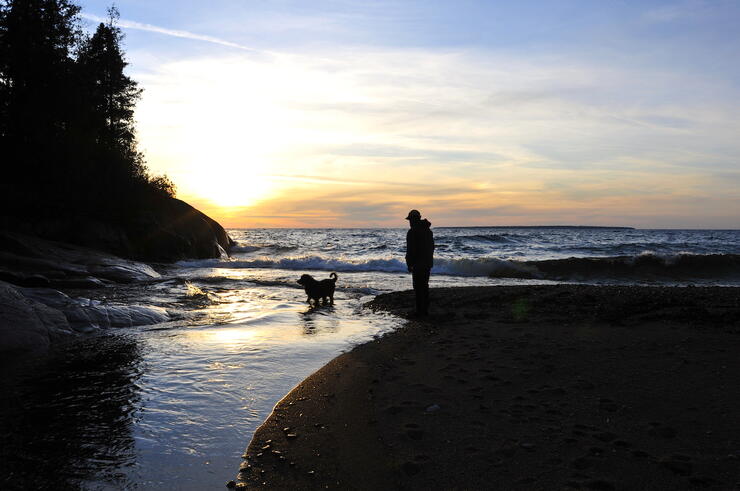 Dog wading in river at sunset with man standing on a beach