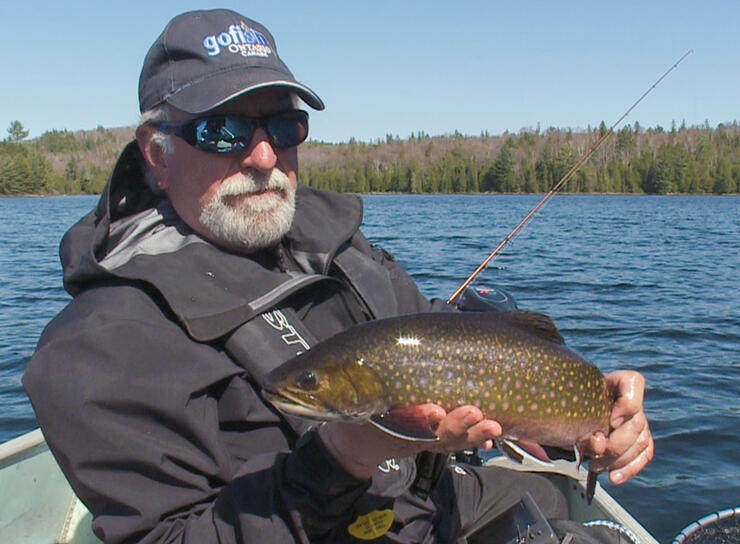 Top Ranked Flies For Catching Brown Trout