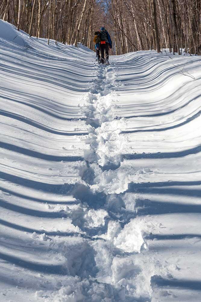 snowshoe gary mcguffin