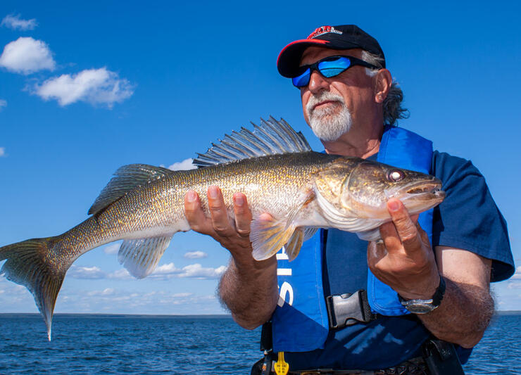 angler fishing walleye