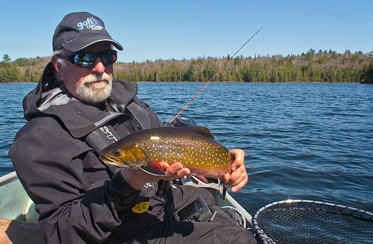 Brook Trout: A Natural Work of Art