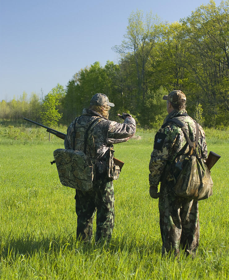 turkey-hunting-stalking