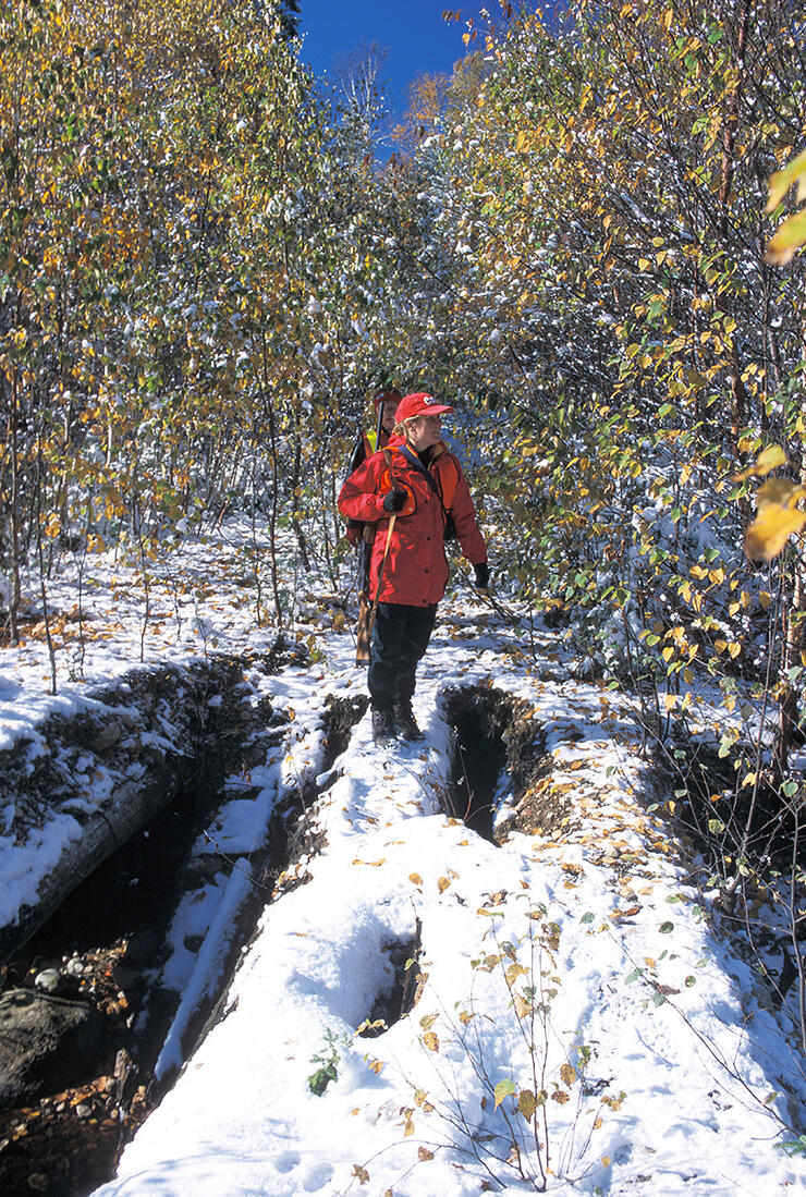 grouse hunting2