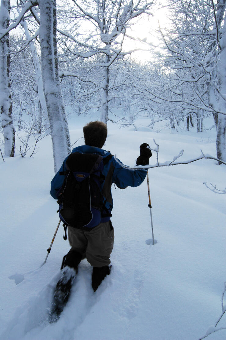 The Fisherfolk Have it Right: The Costa Diego Sunglass - The Backcountry  Ski Touring Blog