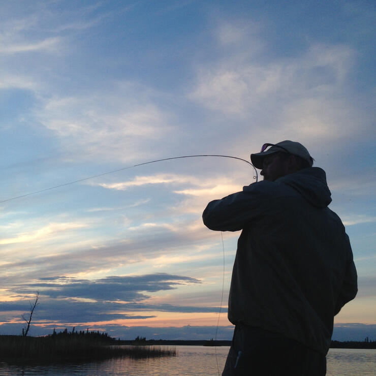 Smallmouth Bass On A Fly