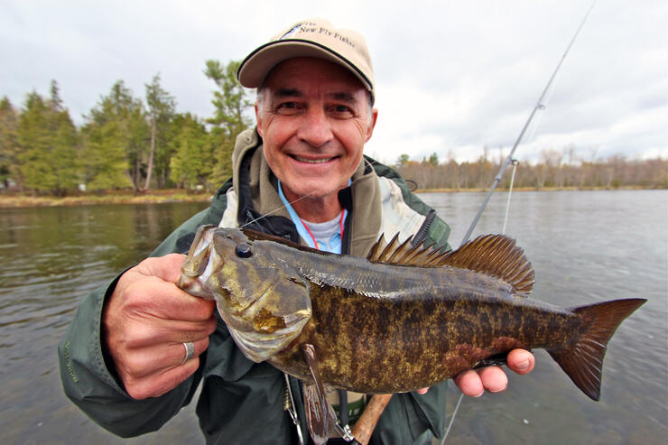 Subsurface Smallmouth On A Fly