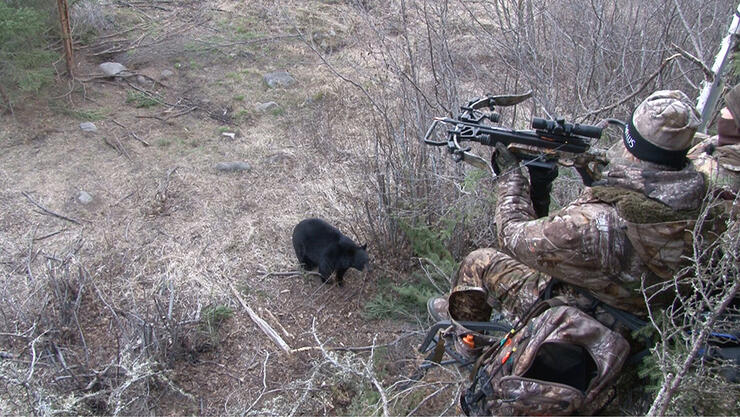 In the stand