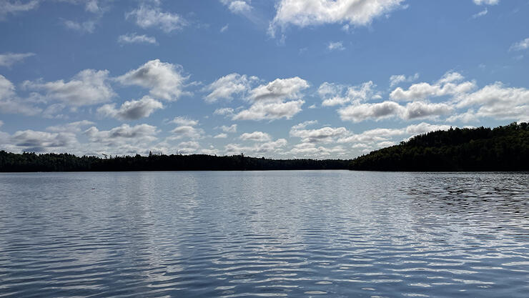 olive-the-lake-5