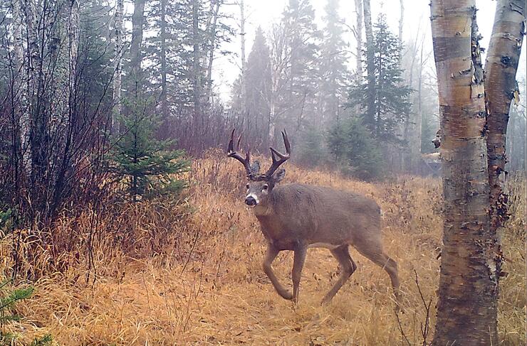 13 Must-Do Canadian Hunts of a Lifetime! • Outdoor Canada