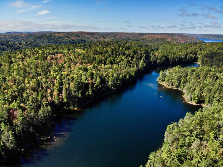 Brook Trout on the Fly: Carolyn Beach Inn Algoma Country