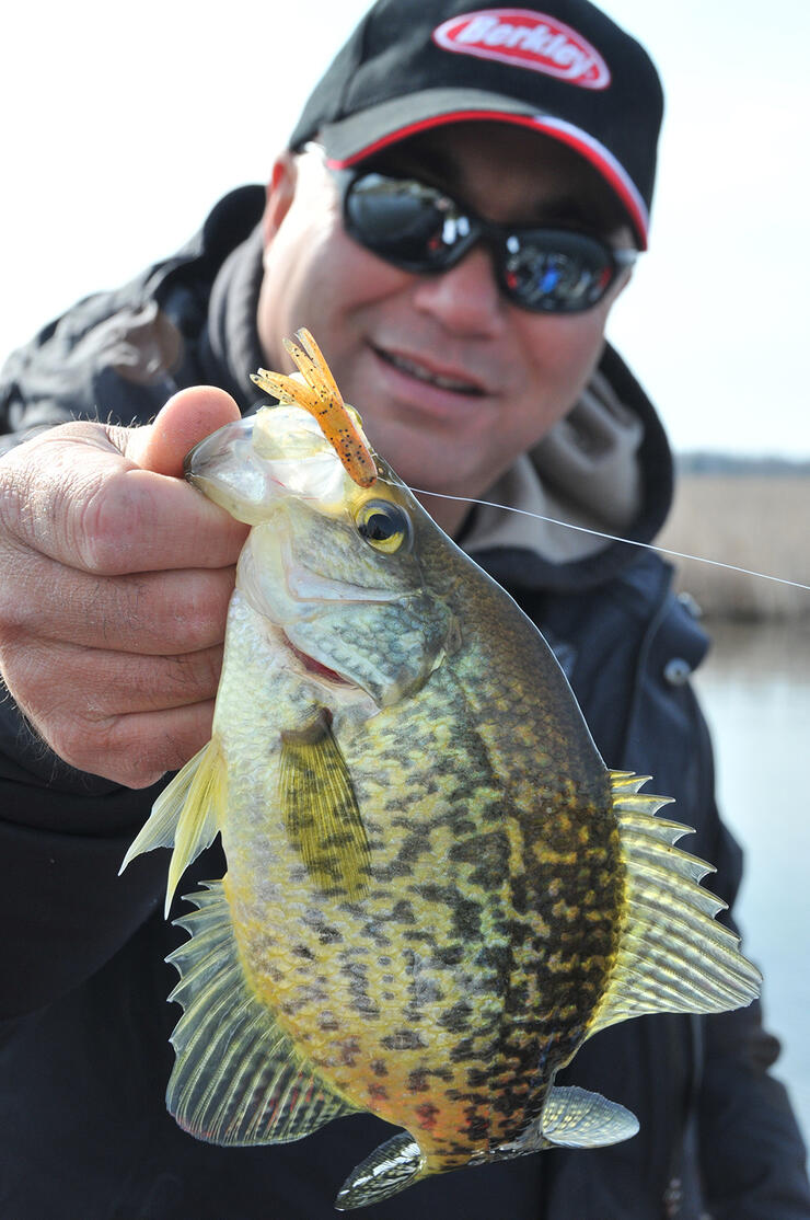 How to Catch Big Spring Crappies