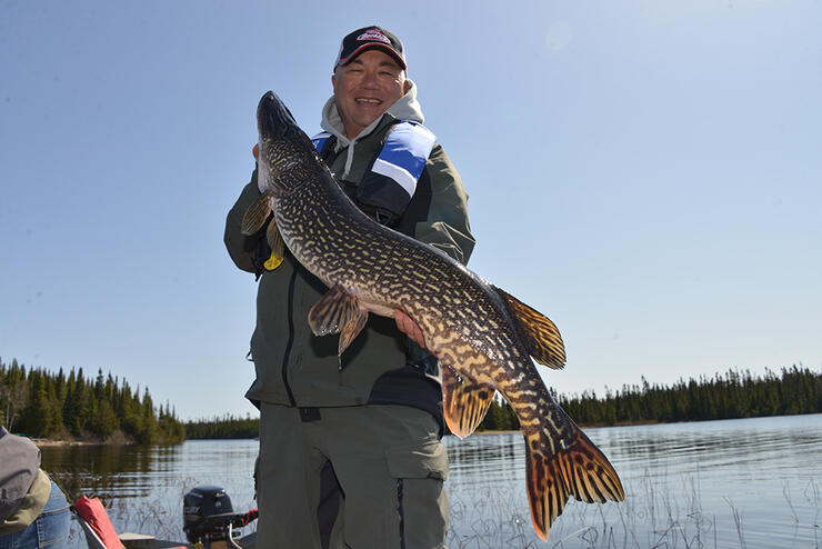 Algonquin Spring Trout - Fish'n Canada