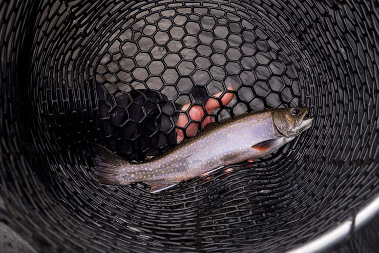 Bass, Brook Trout and Walleye Fishing at Hidden River Lodge