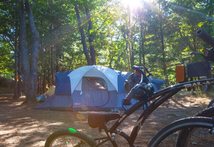 Tent and bicycles at a campsite. 