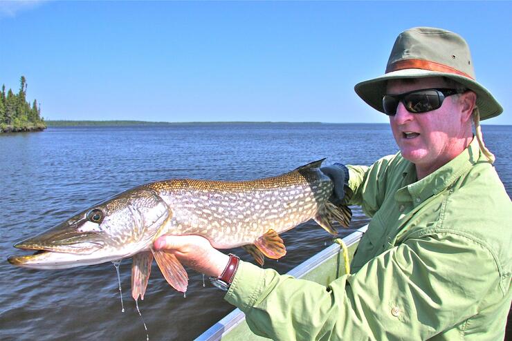 Lifelong Love of Northern Pike