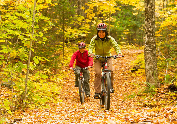 Two people ride bicycles along a fall forest trail