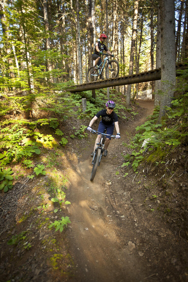 Cyclists ride above and below an underpass along a forested mountain bike trail