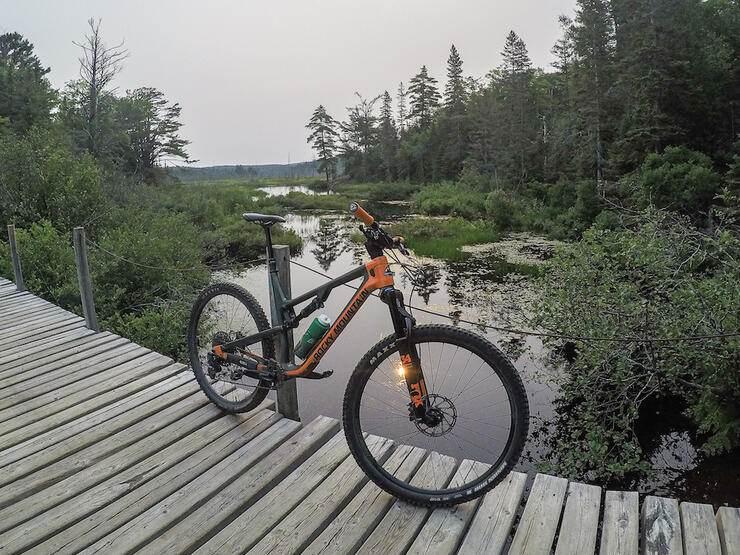 Mountain bike parked on a boardwalk overlooking wetland