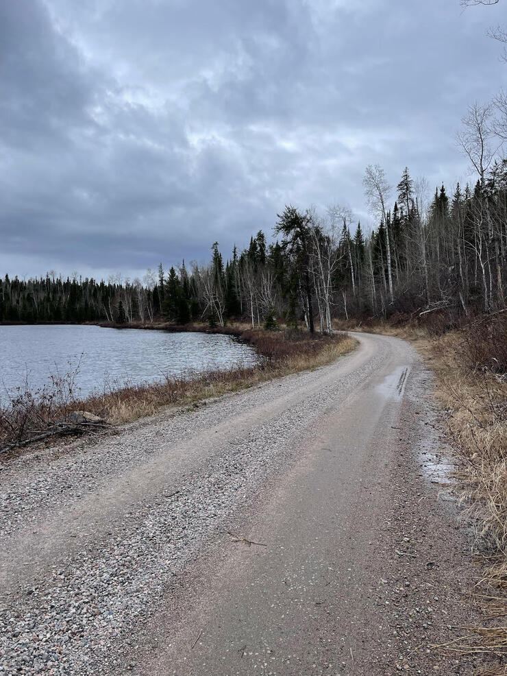 Gravel road passing a body of water lined with birch and deciduous trees
