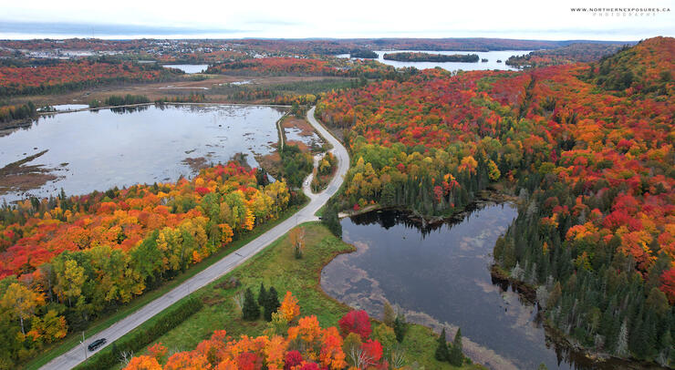 Aerial view of Sheriff Creek Wildlife Sanctuary in fall