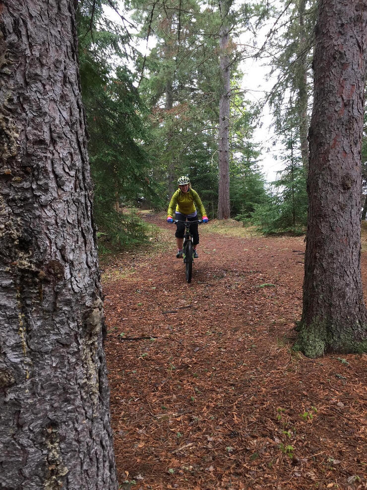 Woman mountain bikes along a forest trail