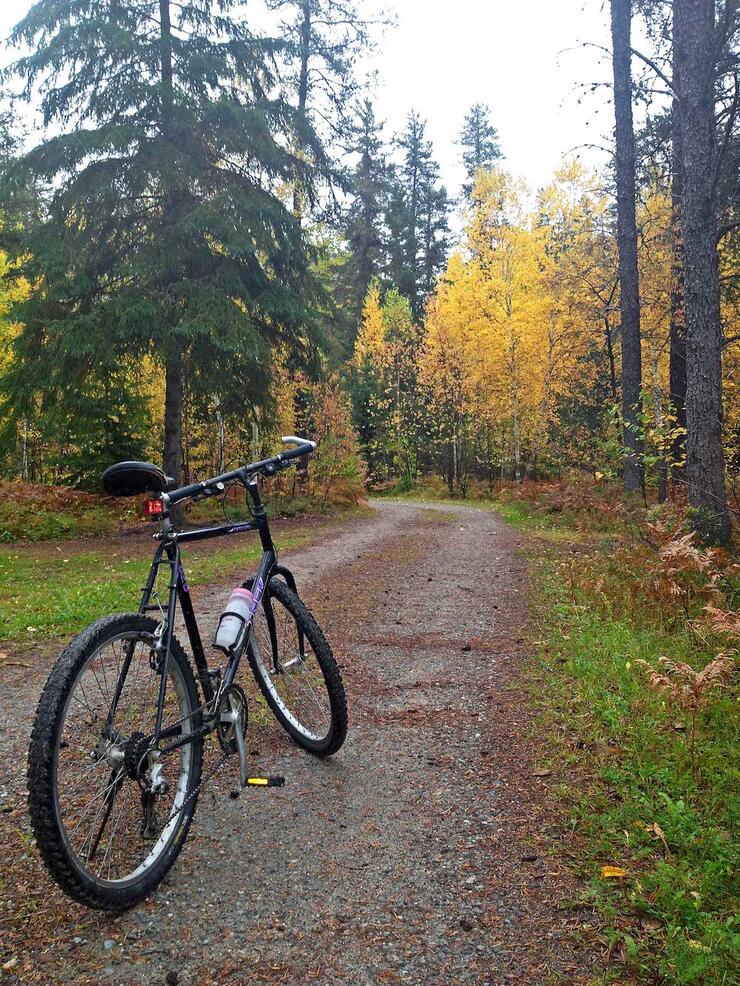 Mountain bike sits on kickstand on a gravel trail through an autumn forest