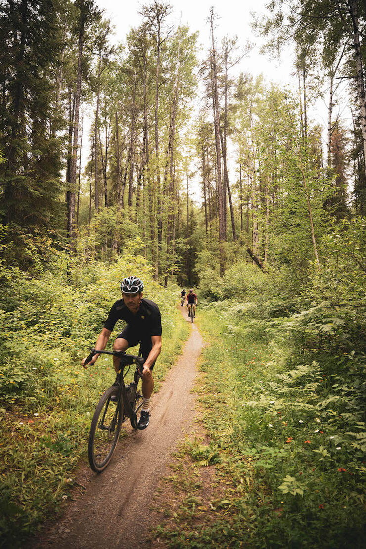 Cyclists ride bicycles along a narrow dirt trail through a forest