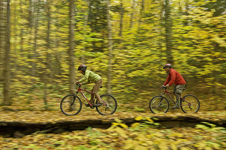 Couple biking through yellow-leaved forest