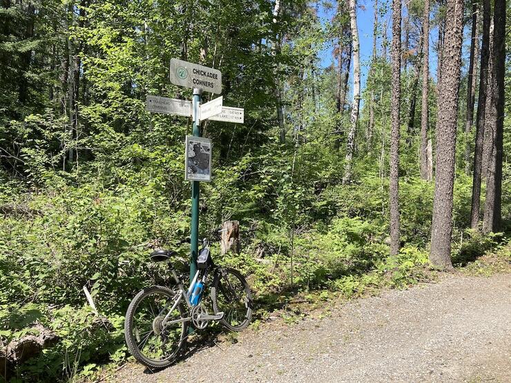 Bicycle propped against wayfinding sign located at a junction of forest bike trails