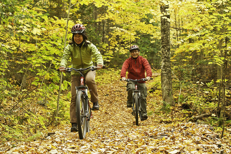 Man and woman ride bicycles in the fall through a forest trail