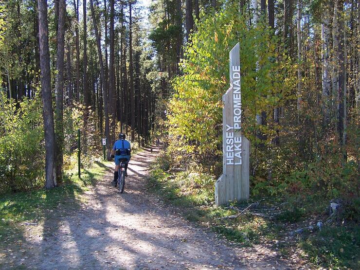 Cyclist rides past a trailhead marker on a forested bike trail