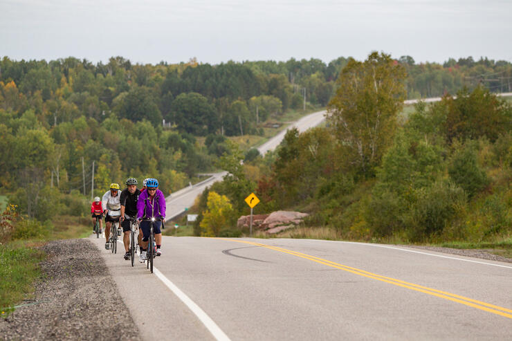 Several cyclists ride along the edge of a highway winding through a forest
