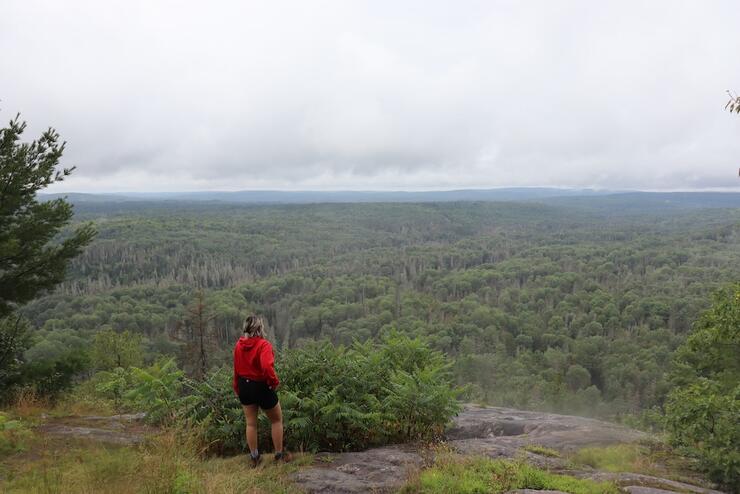 Woman stands at lookout over sprawling forest.