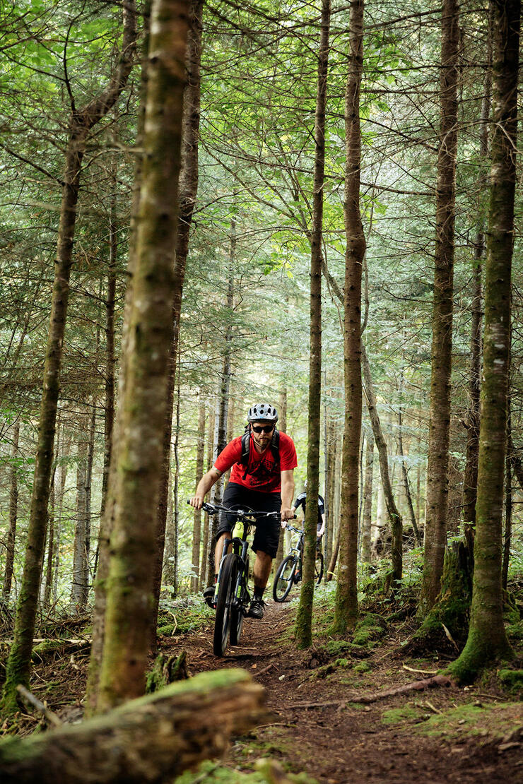 two people ride mountain bikes through the forest at Shuniah Mine trails near Thunder Bay