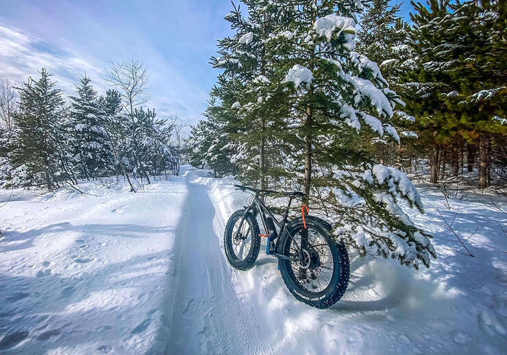 a fat bike parked on a snowy winter trail at Walden